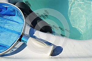 Swim spa cleaning net