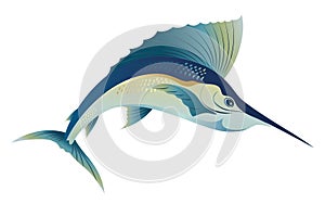 Swiming blue marlin sword sail fish vector illustration