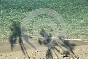 Swimmer and Palm trees' sahdow at the beach.