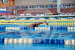 Swimmer in the swimming pool