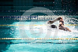 Swimmer swims freestyle in the pool in beautiful sunlight