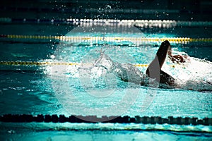 Swimmer swims freestyle in the pool in beautiful sunlight