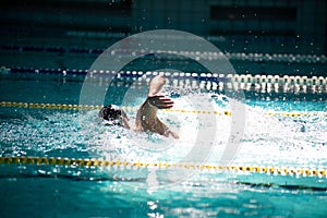 Swimmer swims freestyle in the pool in beautiful sunlight