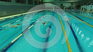 Swimmers compete in the pool of three men