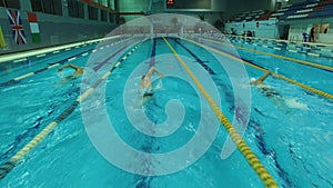 Swimmers compete in the pool of three men