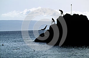 Swimmers Diving from A Rock