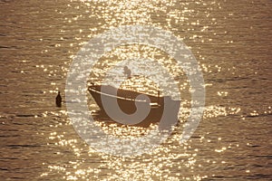 Swimmers and motor boat, sunrise in Mediterranean Sea, Solta, Croatia