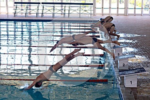 Swimmers plunging in the pool