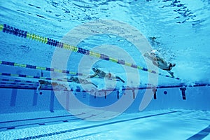 Swimmers Racing In Pool