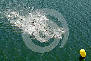 Swimmers in the sea