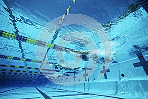 Swimmers Swimming In Pool