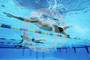 Swimmers Swimming Together In A Line During Race