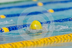 Swimming Breast Stroke Head Athlete