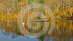 swimming diving dock and buoys in lake water in Fall reflection colors
