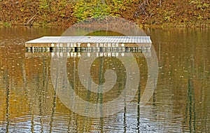 swimming diving dock listing forty feet depth of lake water in Fall reflection colors