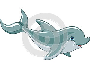 Swimming Dolphin photo