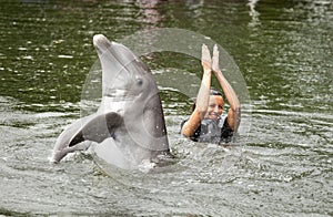 Swimming with dolphin