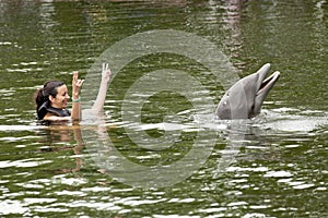 Swimming with dolphin