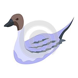 Swimming duck icon, isometric style