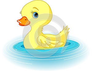 Swimming Duckling