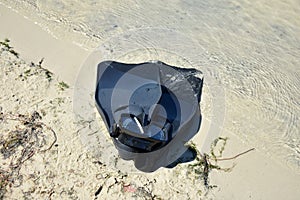 Swimming fins and diving mask on the beach