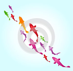 Swimming fish background