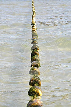 Swimming lane marker buoys