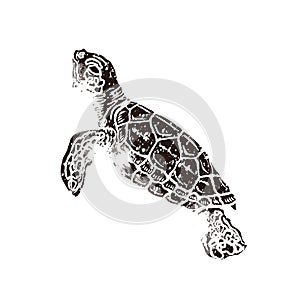 Swimming little turtle in linocut retro style isolated on white