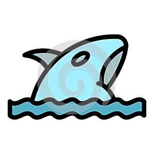 Swimming orca icon vector flat