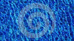 Swimming Pool Background