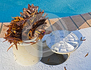 Swimming Pool Basket Cleaner