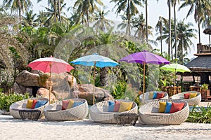 Swimming pool and beach chairs in a tropical garden, Thailand
