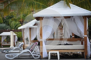 Swimming pool beds and chairs under coconut trees