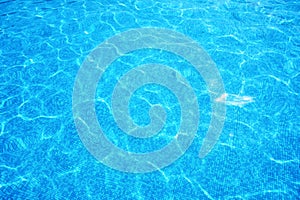 Swimming pool blue water background with sun highlights