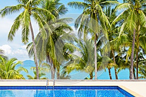 Swimming pool blue water, sea beach poolside, tropical island nature, green palm trees, ocean coast, summer holidays, vacation