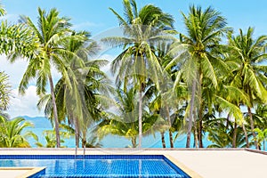 Swimming pool blue water, sea beach poolside, tropical island nature, green palm trees, ocean coast, summer holidays, vacation