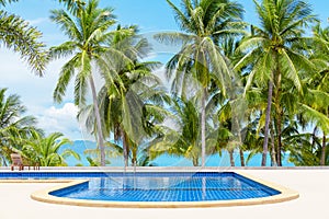 Swimming pool blue water, sea beach poolside, tropical island nature, green palm trees, ocean coast, summer holidays, vacation