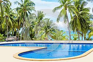 Swimming pool blue water, sea beach poolside, tropical island nature, green palm trees, ocean coast, summer holidays, vacation