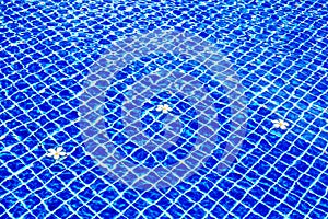Swimming pool blue water surface background, floating plumeria frangipani flowers, summer holidays, vacation, spa relax, beauty