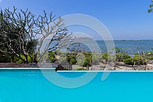 Swimming pool  blue water and tropical garden with sea view