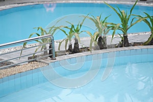 Swimming pool with clear blue water