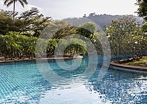Swimming pool with clear turquoise water among a beautiful garden with frangipani trees in the setting sun in Phuket