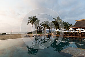 Swimming pool and coconut trees