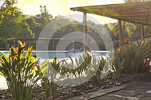 Swimming pool in fazenda, Brazil. Relaxation area