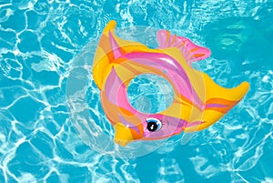 Swimming pool float