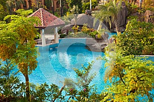 Swimming pool in garden