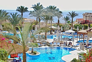 Swimming pool of Hilton Sharks Bay Hotel