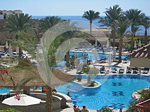 Swimming pool of Hilton Sharks Bay Hotel