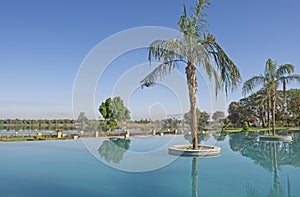 Swimming pool at a luxury tropical hotel resort with palm tree