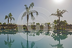 Swimming pool at a luxury tropical hotel resort with palm tree